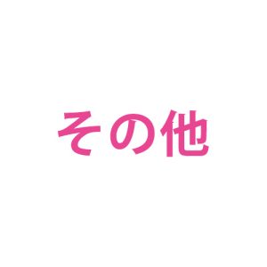 その他
