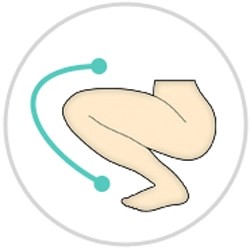 EVO (無料)