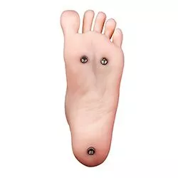 直立あり（無料）