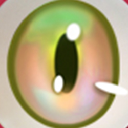 オレンジ