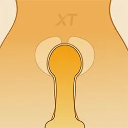 ゼロ逆突き膣道（無料）