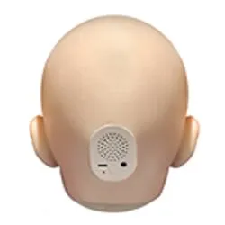ヘッド音声機能