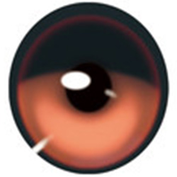 オレンジ