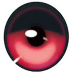 レッド