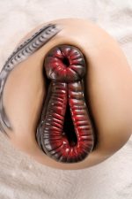 doll-castle-h1-pro-22cm-silicone-sex-doll at rosemarydoll