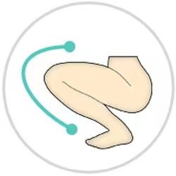 EVO骨格（無料｜肩すくめ不可）